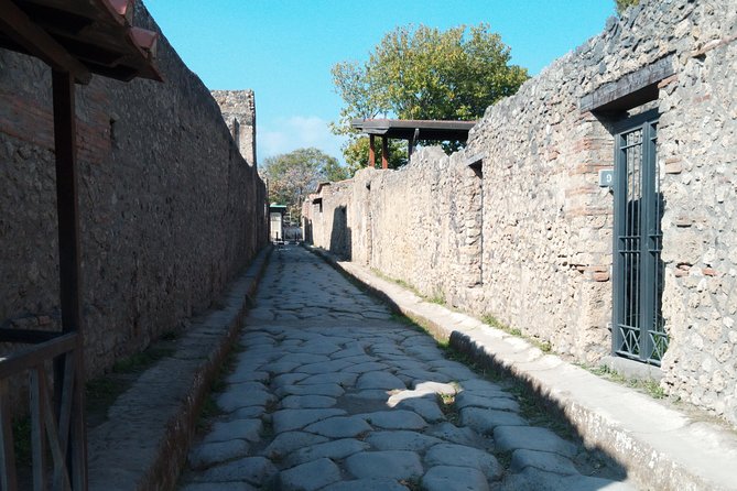 Pompeii and Herculaneum Skip-The-Line with Lunch and Wine Tasting from Rome - Vesuvius National Park: Lunch and Wine Tasting on the Volcano’s Slopes