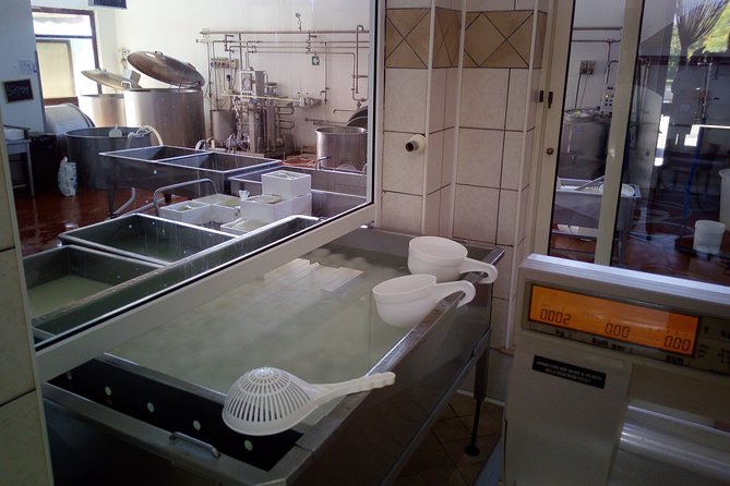 Pompeii and Herculaneum Skip-The-Line with Lunch and Wine Tasting from Rome - Who Will Appreciate This Tour Most