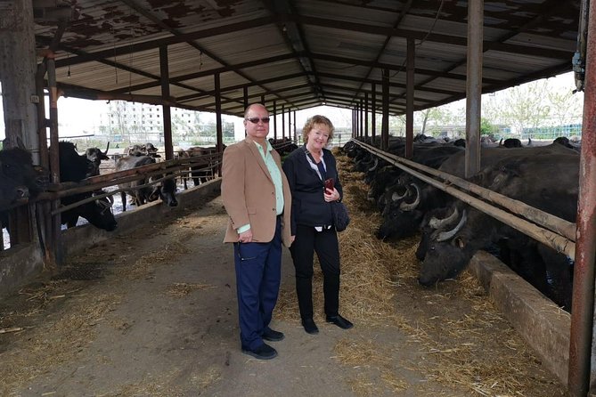 Pompeii and Herculaneum Skip-The-Line with Lunch&WineTasting from Rome - Discover Pompeii’s Remarkably Preserved Ruins