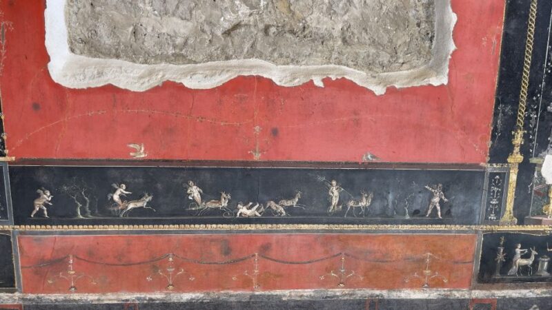 Pompeii and House of Vettii Guided Tour - The Experience of a Guided Tour with a Knowledgeable Guide