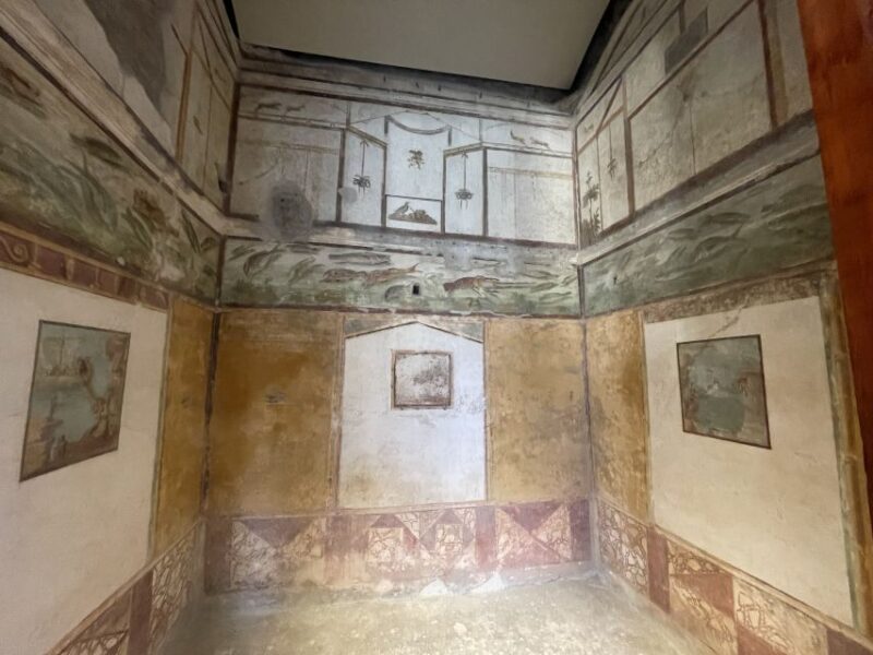 Pompeii and House of Vettii Guided Tour - Accessibility and Suitability for Different Visitors