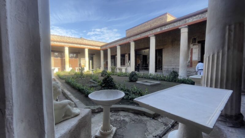 Pompeii and House of Vettii Guided Tour - Comparing This Tour to Other Pompeii Options