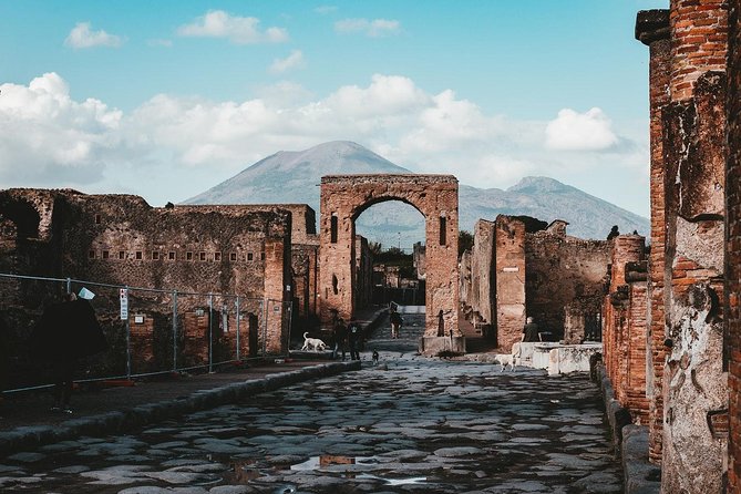 Pompeii and Mount Vesuvius Day Trip from Naples with Lunch - Physical Requirements and Accessibility