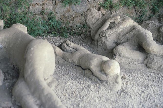 Pompeii and Mount Vesuvius Day Trip from Rome with Pizza Lunch - Flexibility and Considerations for Booking