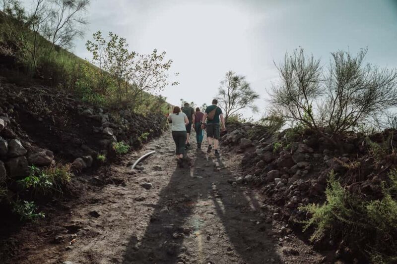 Pompeii and Mount Vesuvius excursion from Naples - Frequently Asked Questions