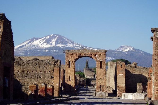 Pompeii and Naples From Rome: Private Full-Day Tour with Lunch - Key Points