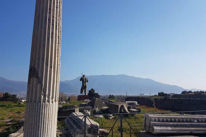 Pompeii and Naples From Rome: Private Full-Day Tour with Lunch - Pompeiis Ruins: A Guided Dive into Roman History
