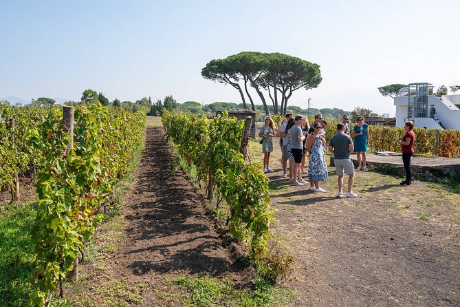 Pompeii and Naples From Rome: Private Full-Day Tour with Lunch - What Sets This Tour Apart: Focus on Personalization and Quality