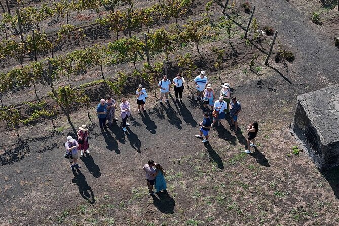 Pompeii and Naples From Rome: Private Full-Day Tour with Lunch - Potential Drawbacks and Considerations