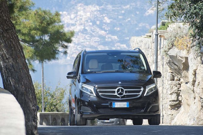 Pompeii and Positano Private Tour from your Hotel in Rome - The Experience Provider and Booking Flexibility