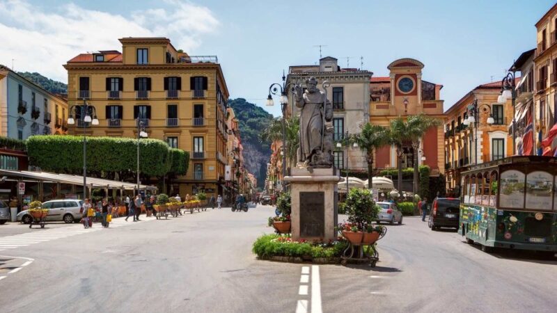 Pompeii and Sorrento Wheelchair Accessible Private Tour - Customization and Flexibility of the Private Tour