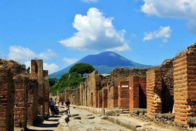 Pompeii and Vesuvius Day Trip from Naples with Skip The Line - Key Points