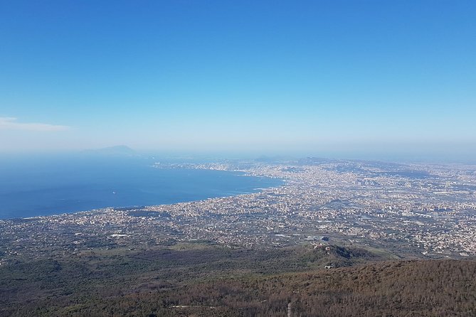 Pompeii and Vesuvius Day Trip from Naples with Skip The Line - Practical Tips and Considerations