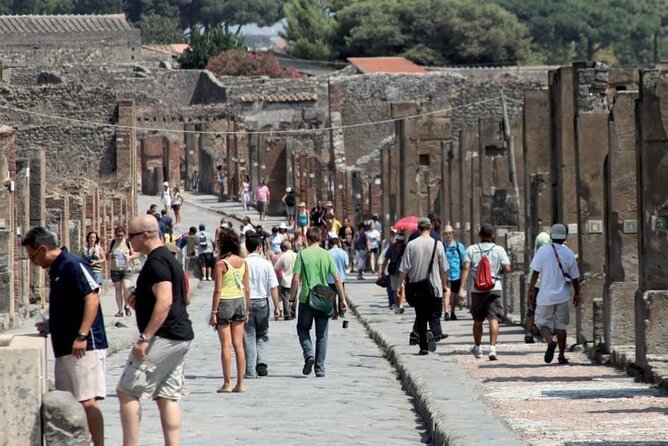 Pompeii and Vesuvius Experience from Naples - Skip the line - - Starting from Naples: Convenient Meeting Point and Timing