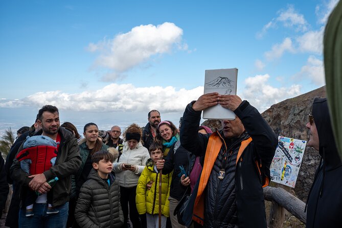 Pompeii and Vesuvius Small Group Tour from Sorrento with Pizza - Highlights of the Vesuvius and Pompeii Stops