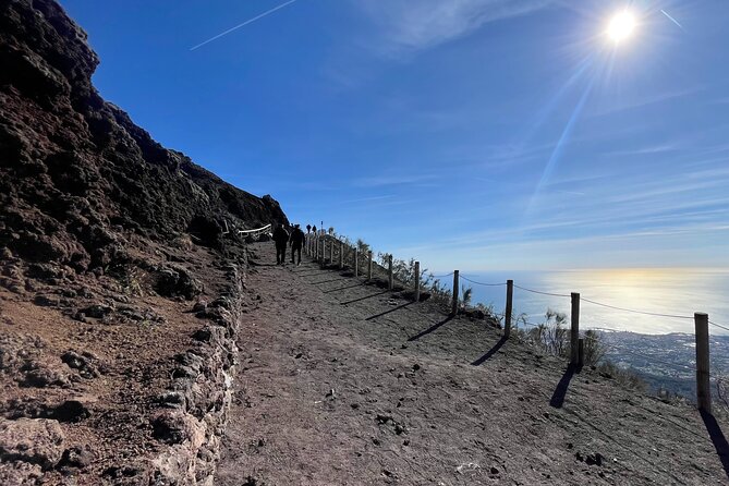 Pompeii and Vesuvius Tour from Positano Small Group - Pickup from Positano and Travel Details