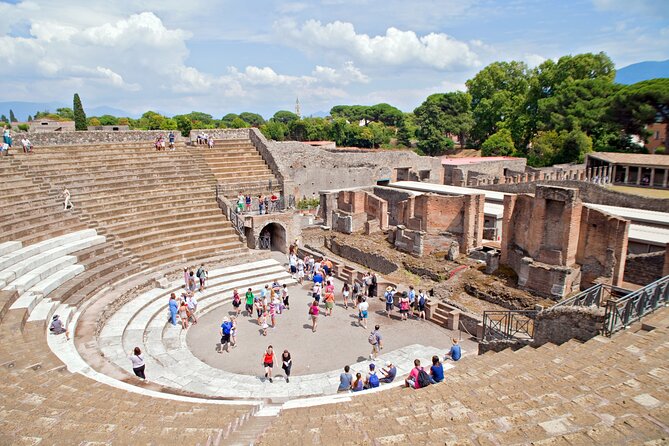 Pompeii and Vesuvius Wine Tasting Private Tour - Scenic Drive from Naples to Mount Vesuvius