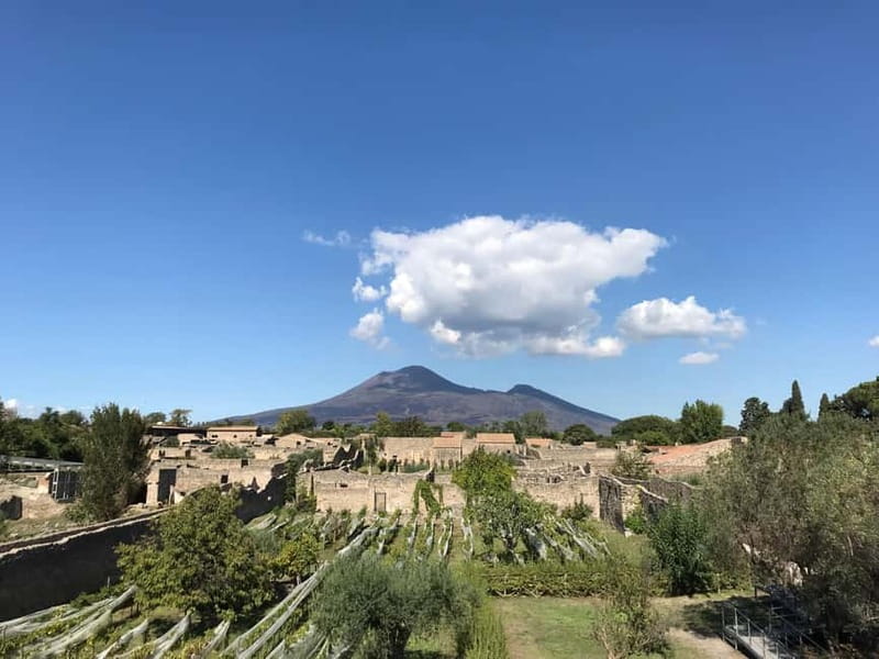 Pompeii: Archeological Tour & Wine Tasting at Mt. Vesuvius - Practical Details and Considerations