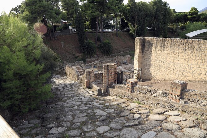 Pompeii Day Tour - Flexibility and Cancellation Policy