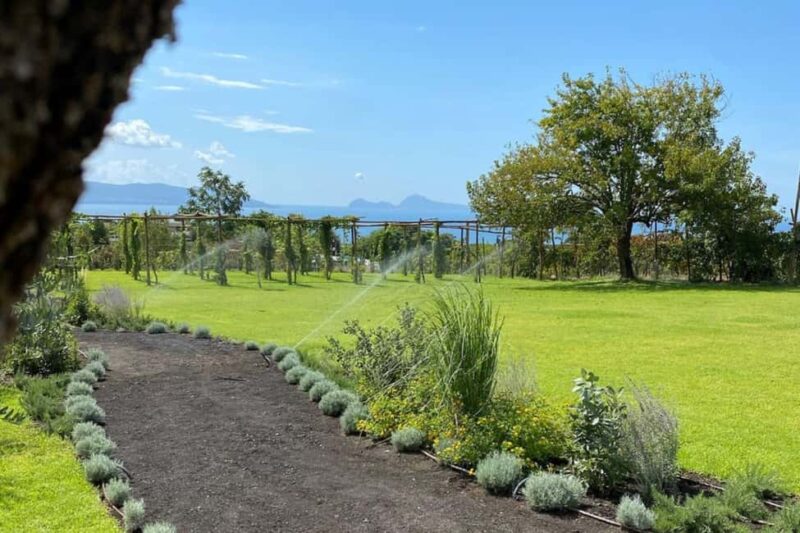 Pompeii: Dinner in a Farm To Table property on Mt. Vesuvius - The Vineyard Visit and View of Sorrento and Capri