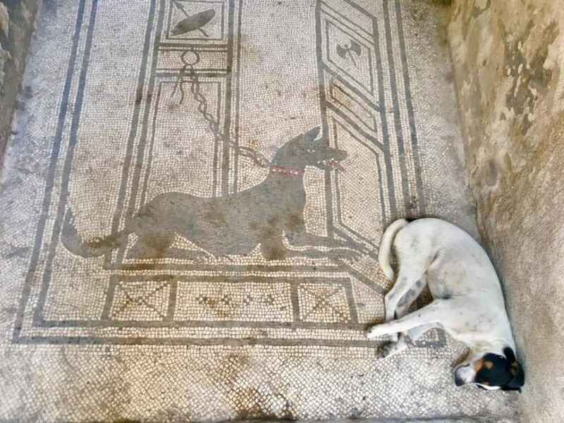 Pompeii: experience with a real archaeologist in a small group - Practical Tips for Visiting Pompeii with the Archaeologist