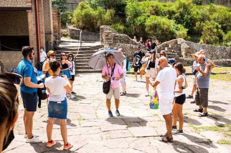 Pompeii: Group Guided Tour With Optional Tickets - Concluding Insights on the Pompeii Guided Tour