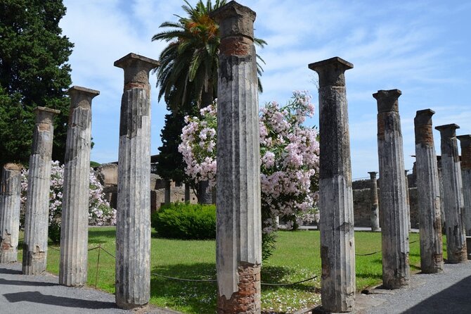 Pompeii: Guided Small Group Tour Max 6 People with Private Option - Multilingual Options and Booking Flexibility