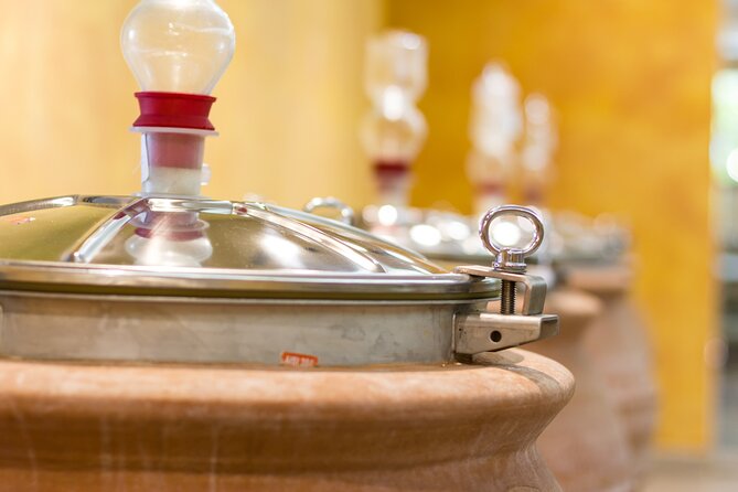 Pompeii Guided Tour & Lunch with Tasting at Two Vesuvian Wineries - Visiting the Second Vesuvian Winery