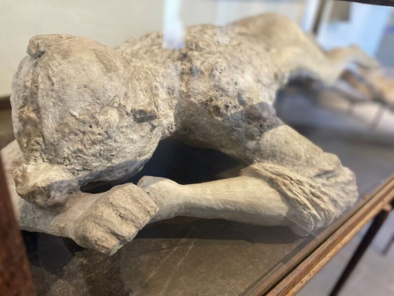 Pompeii: Guided Tour with Archaeologist with max. 12 People - The Significance of the Plaster Casts of Victims