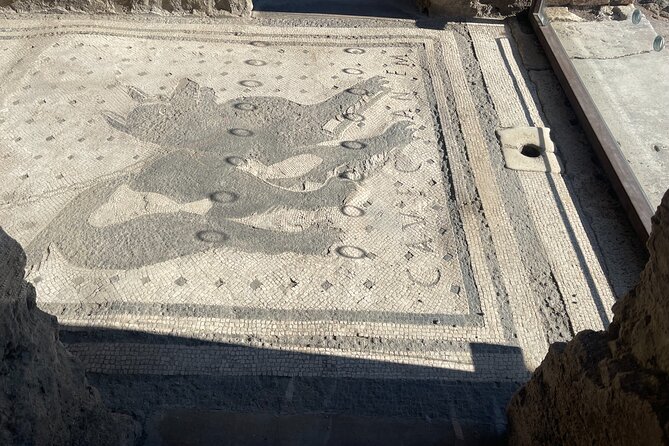 Pompeii Guided Tour with Skip-the-Line Entry - Highlights of Key Sites: Houses, Forum, and Frescoes