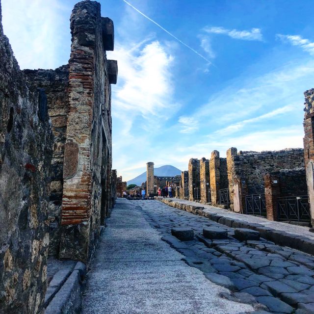 Pompeii: Guided Tour with Skip-the-Line Entry - Discovering Residential and Commercial Neighborhoods