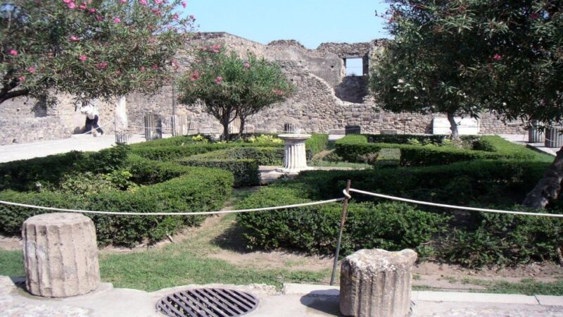Pompeii Half-Day Coach Tour from Sorrento - Practical Details: Meeting Point and Accessibility