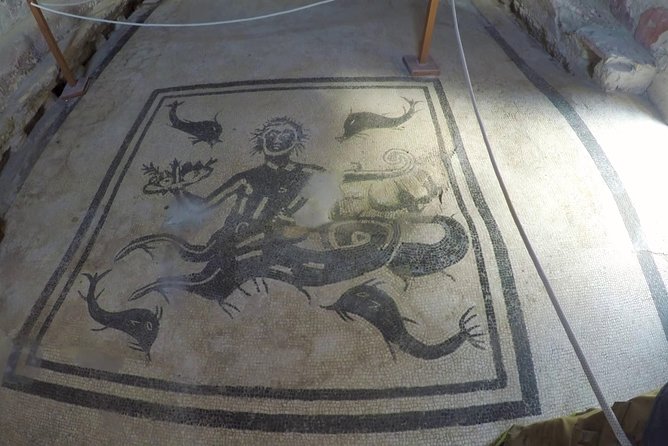 Pompeii, Herculaneum and Local wine tour from NAPLES - Key Points