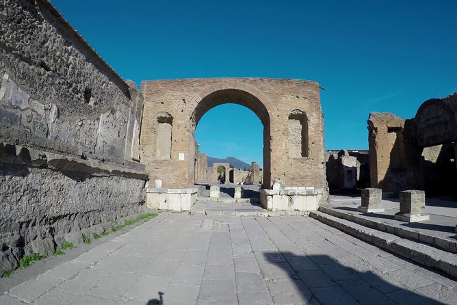 Pompeii, Herculaneum and Local wine tour from NAPLES - Logistics: Meeting Points and Flexibility