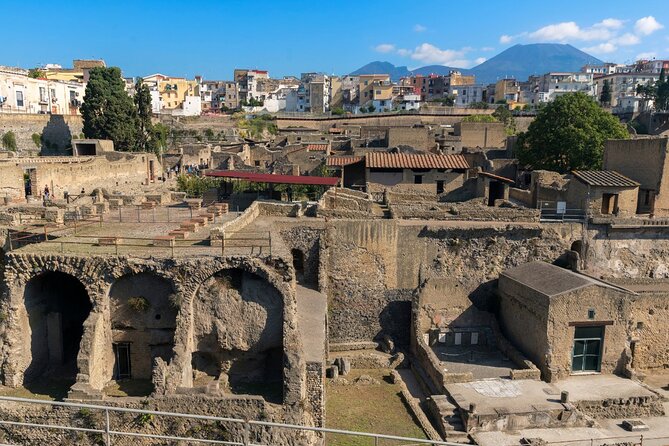Pompeii, Herculaneum and Mount Vesuvius Private Tour from Naples - The Role of the Guides and Their Expertise