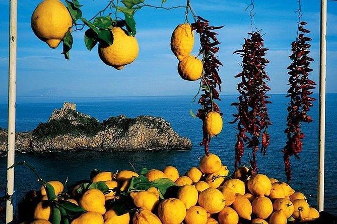 Pompeii, Herculaneum and Sorrento Private Day Tour from Rome - The Sum Up: A Well-Rounded Day in Italy’s Historic and Scenic Heartland