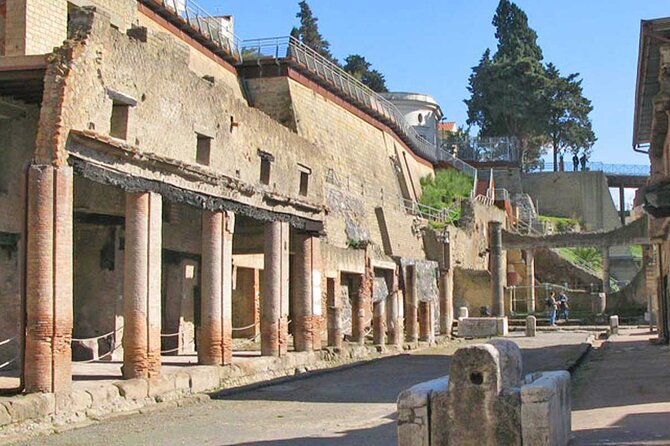 Pompeii & Herculaneum Private Tour: Fast-Track, Winery & Lunch - Visiting Pompeii’s Iconic Ruins in a Private Setting