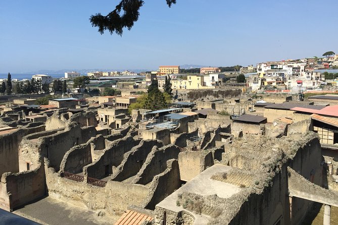 Pompeii-Herculaneum-Wine tour from Sorrento, with licensed guide included - Hassle-Free Transportation and Group Flexibility
