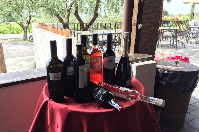 Pompeii-Herculaneum-Wine tour from Sorrento, with licensed guide included - Physical Demands and Accessibility Considerations