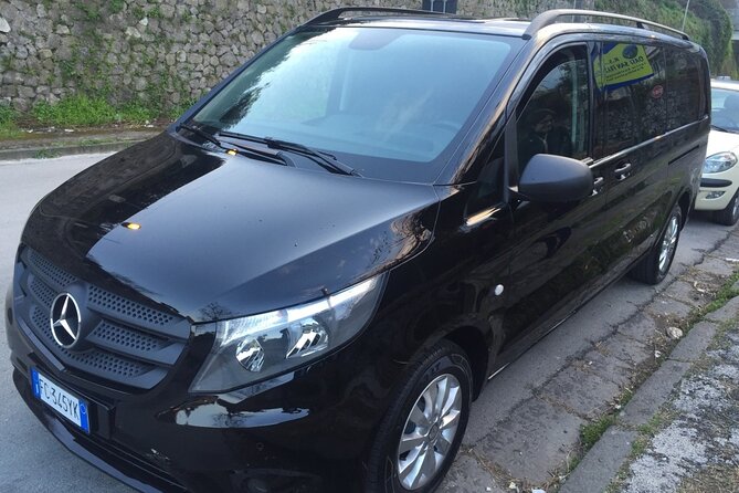 Pompeii, Herculaneum & Wine Tour, with Licensed Guide included - Wine Tasting with a View at Cantina del Vesuvio