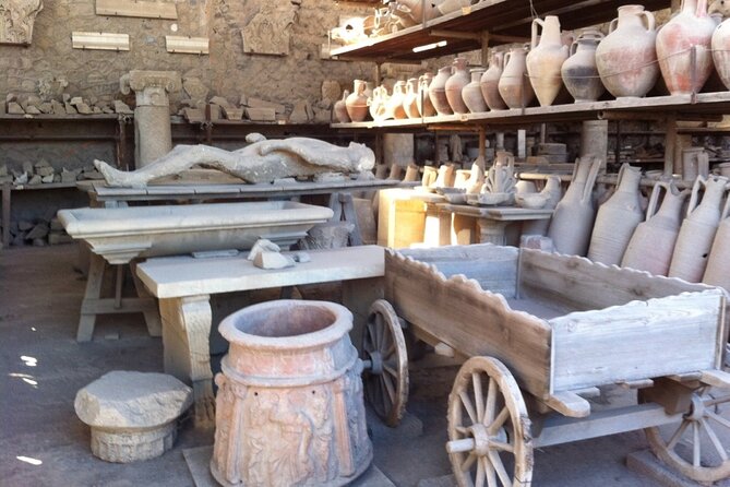 Pompeii, Herculaneum & Wine Tour, with Licensed Guide included - What Makes This Tour Stand Out