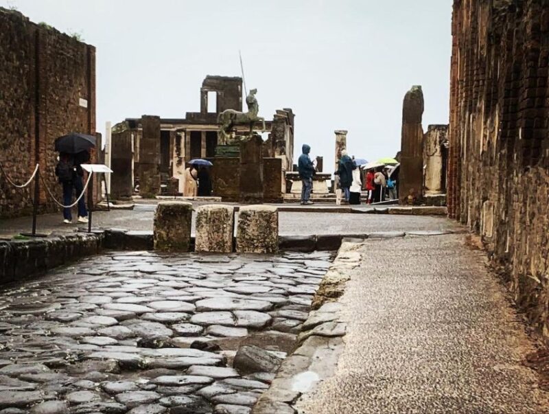 Pompeii in 2h and 30mnt: walk with local guide - Key Points