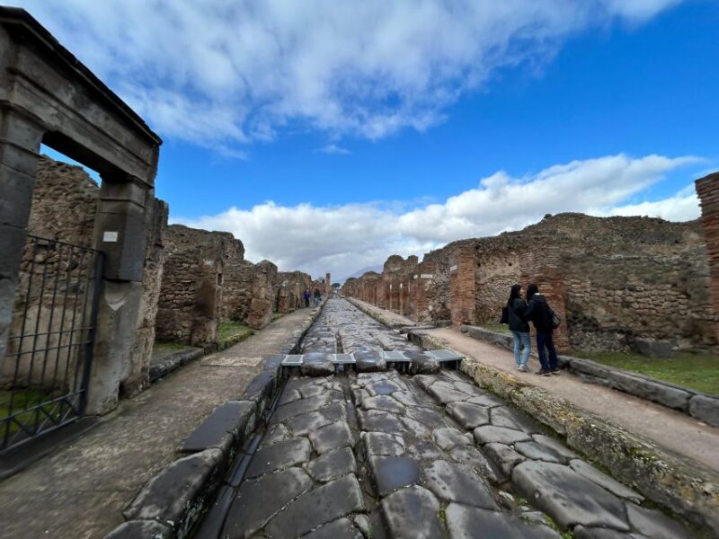 Pompeii in 2h and 30mnt: walk with local guide - Physical Requirements and Accessibility