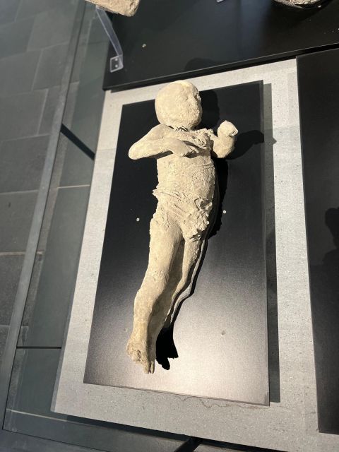 Pompeii in 2h and 30mnt: walk with local guide - Review Highlights and Practical Tips