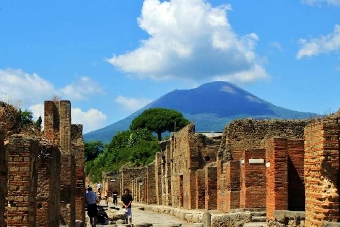 Pompeii, Mt Vesuvius and Wine Tour - Key Points