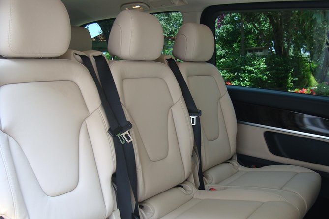 Pompeii, Mt Vesuvius and Wine Tour - Scenic Drive and Winery Stop for Tasting and Lunch