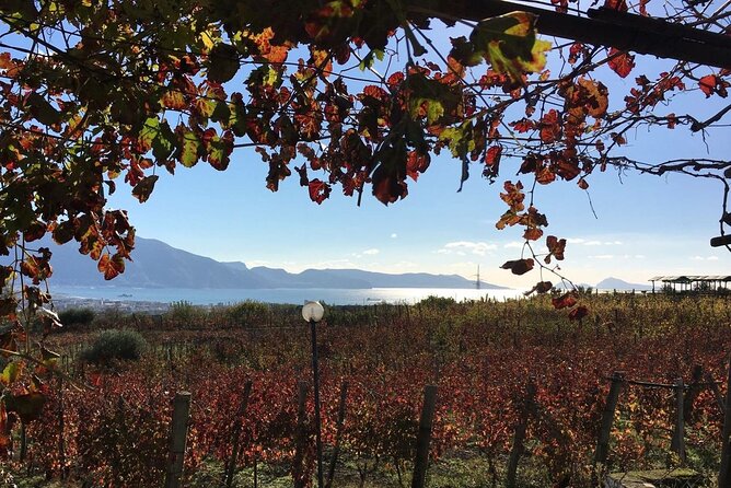 Pompeii, Mt Vesuvius and Wine Tour - Physical Requirements and Practical Tips