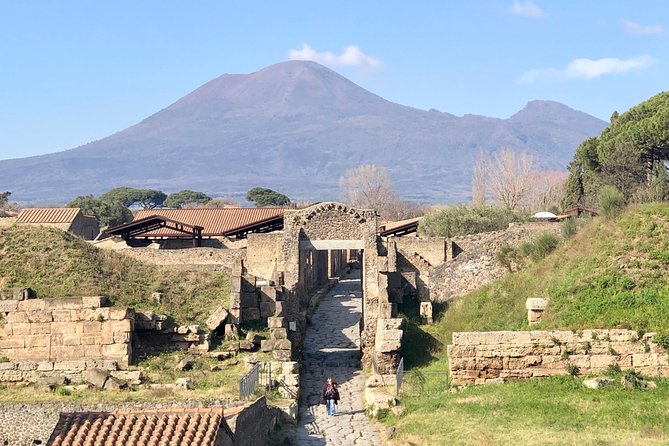 Pompeii New Discoveries Private Guided Tour - In-Depth Look at Pompeii’s Key Excavations
