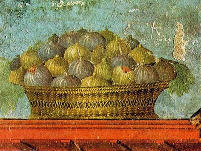 Pompeii: Oplontis Small Group Tour with an Archaeologist - What Makes the Archaeologist Guide Special