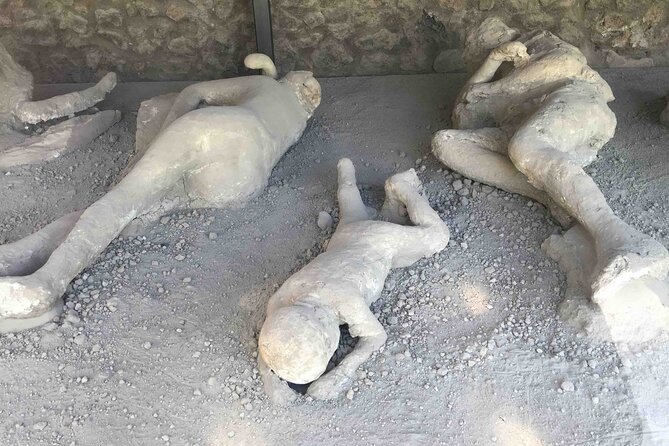 Pompeii Private Guided Half-Day Tour with transfer from Positano - The Experience of a Private Guide